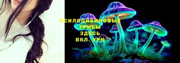 молекула духа Гусь-Хрустальный