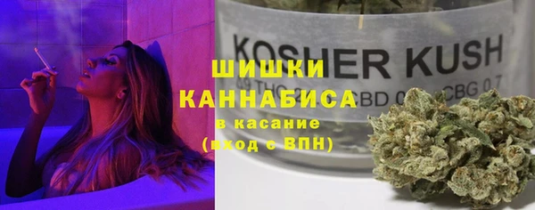прущие крисы Гусев