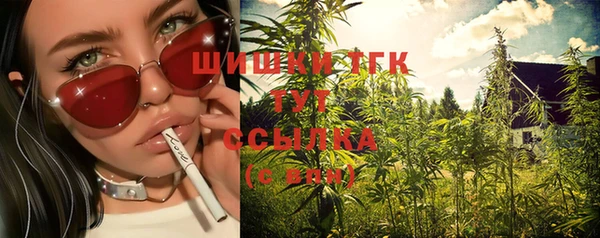 молекула духа Гусь-Хрустальный