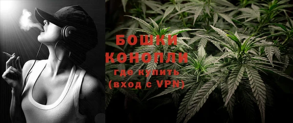 прущие крисы Гусев